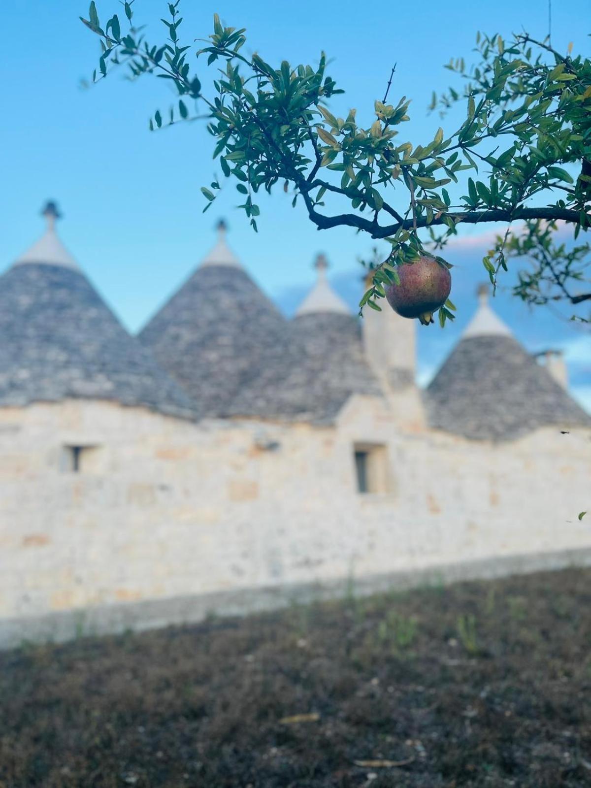 Scardino Trulli Hotell Locorotondo Eksteriør bilde